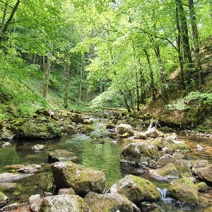 Rezervația Naturală Cheile Gârliștei