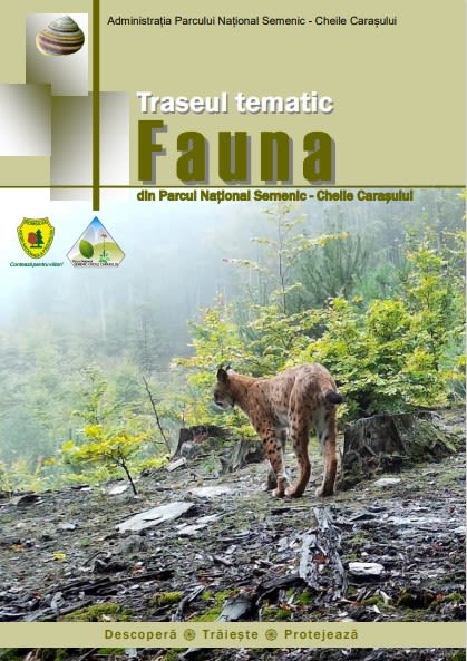 coperta-traseu-tematic-fauna.jpg (100 KB)