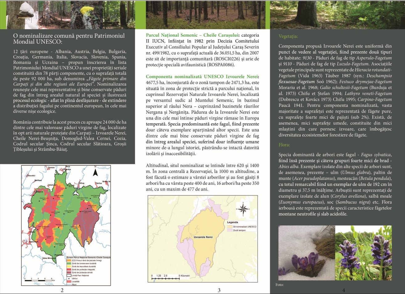 captura-de-ecran-2-2024-03-06-112624.jpg (410 KB)